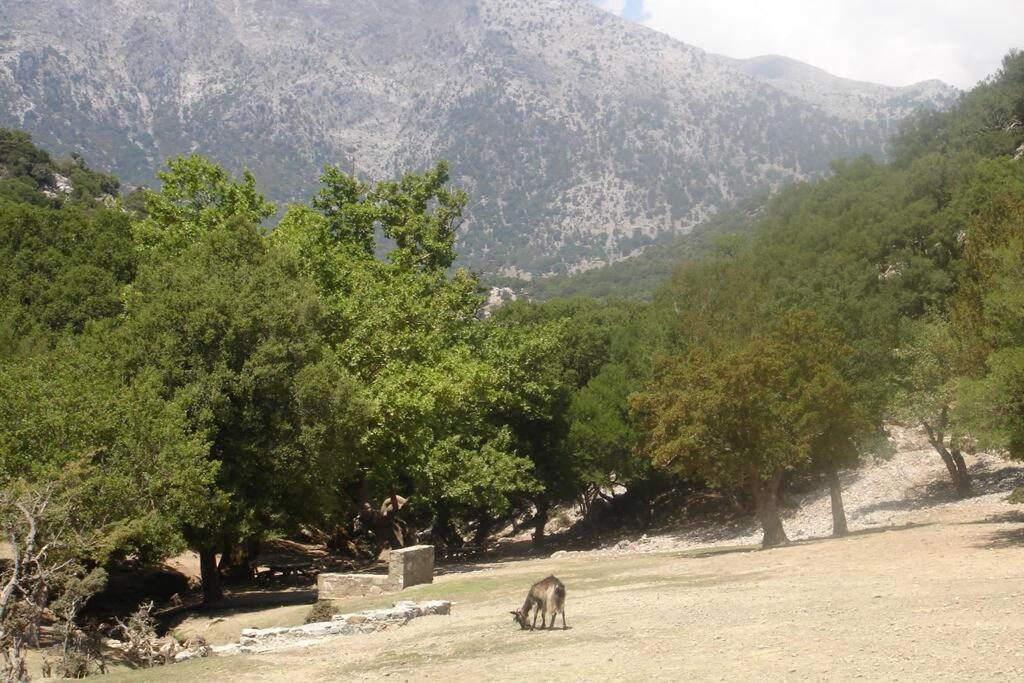 Villa Strata Kardhamiana Екстер'єр фото
